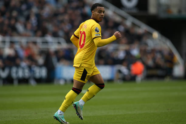 动在安全环 动在安全环