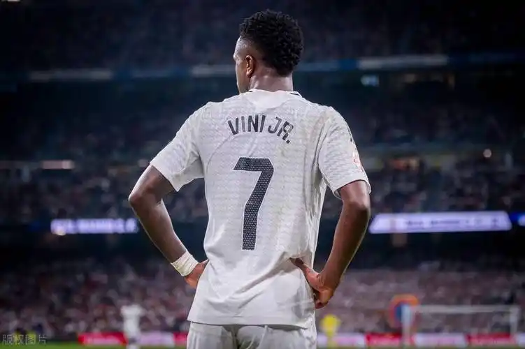 会费及合同 会费及合同